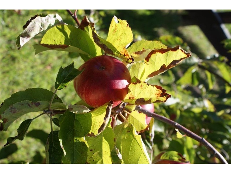 10 Myuna Road, Blackmans Bay TAS 7052