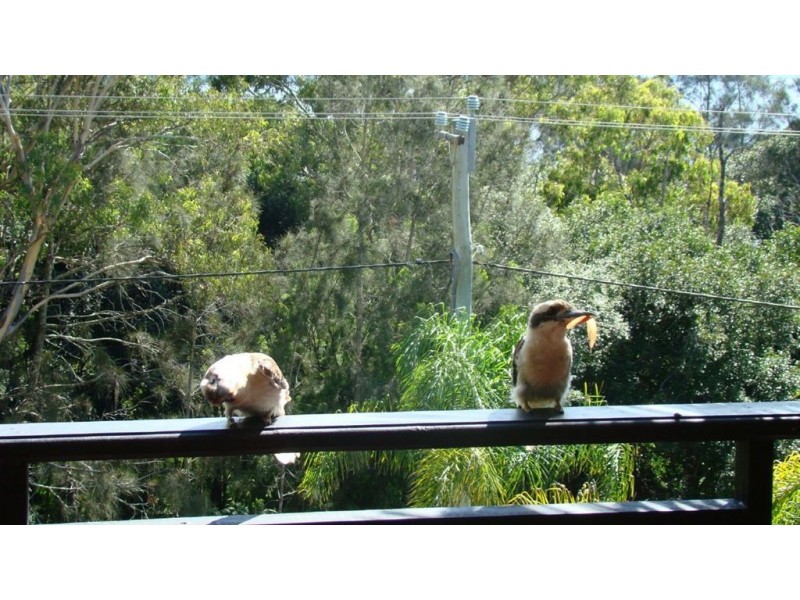 85 Cromarty Bay Road, Soldiers Point NSW 2317