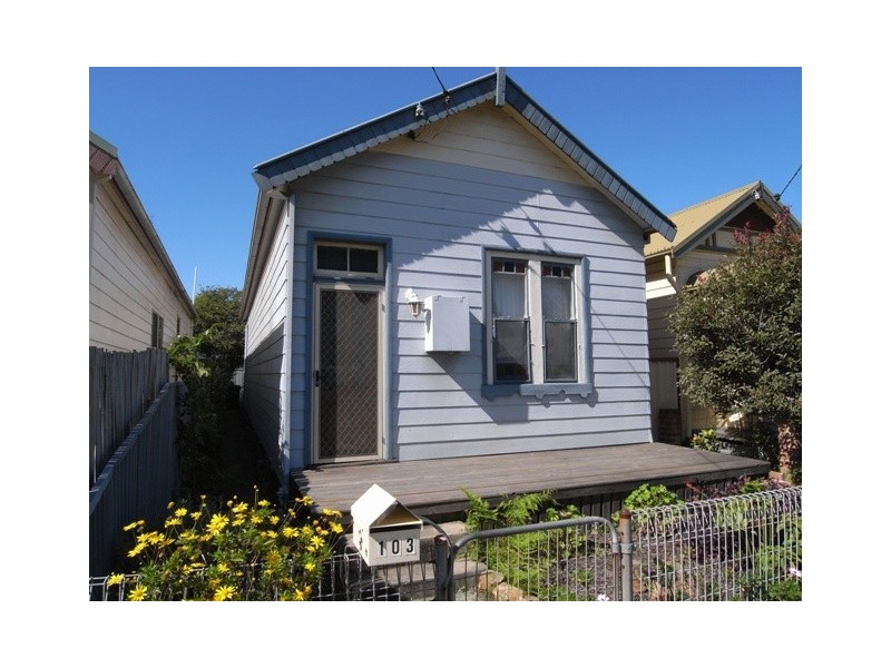 103 Ingall Street, Mayfield East NSW 2304