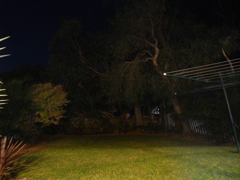 17 Cross Street, Mayfield NSW 2304