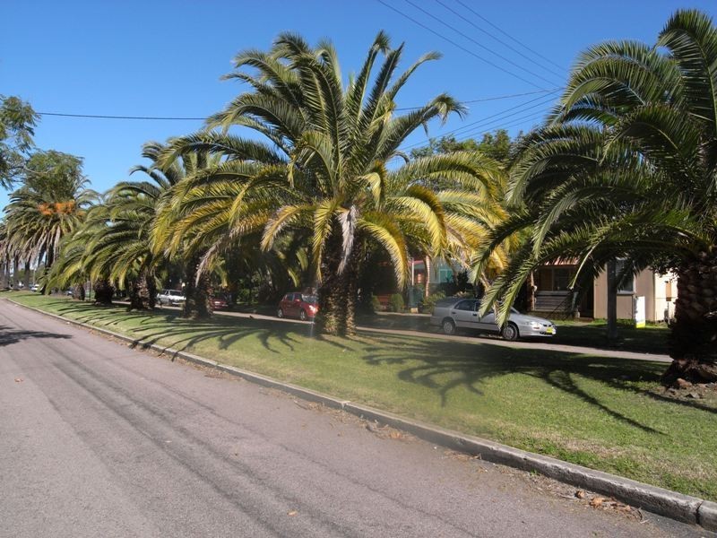 44 Gipps Street, Carrington NSW 2294