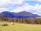 lot 112 Congewai road, Congewai NSW 2325
