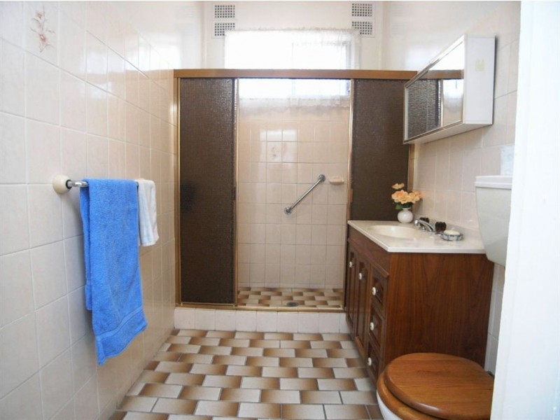 15 Agnes Street, Mayfield NSW 2304