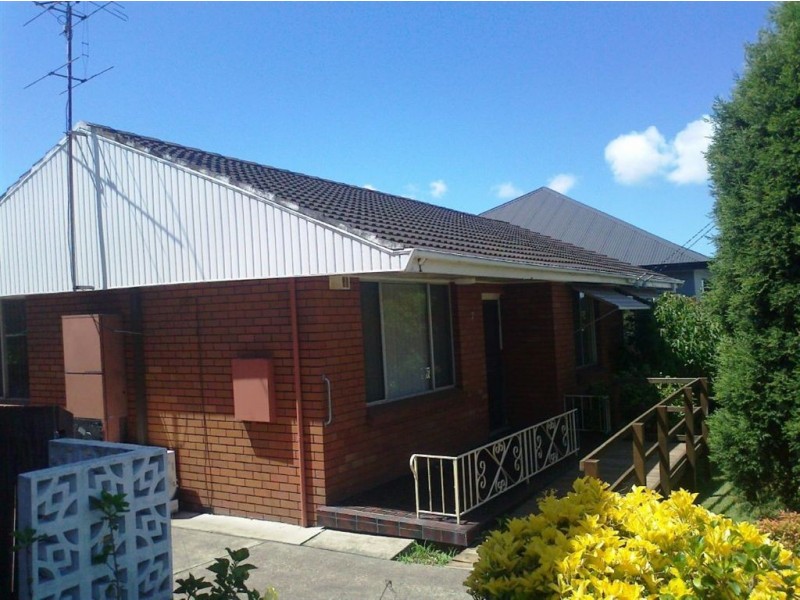 7 Liguorie Court, Mayfield NSW 2304