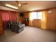 7 Liguorie Court, Mayfield NSW 2304