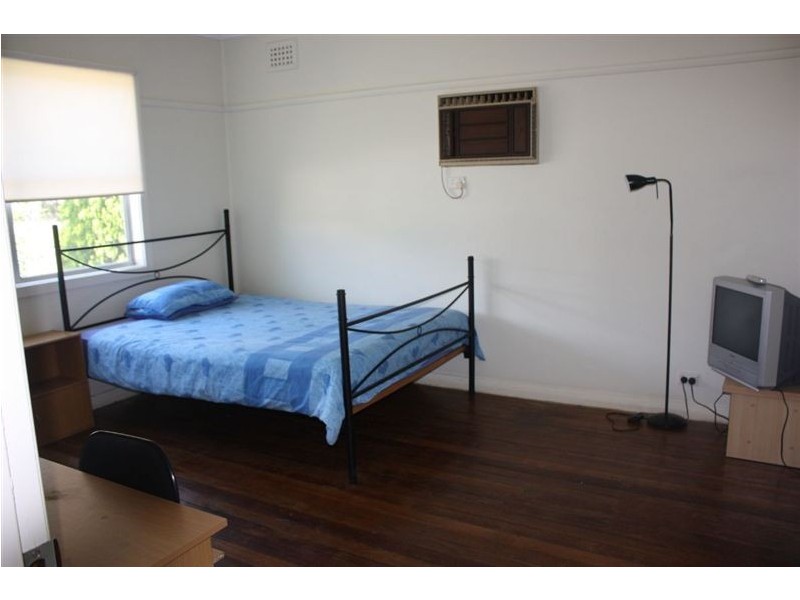 119 Lorna Street, Waratah West NSW 2298