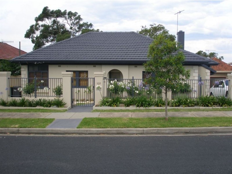 101 Barton Street, Mayfield NSW 2304