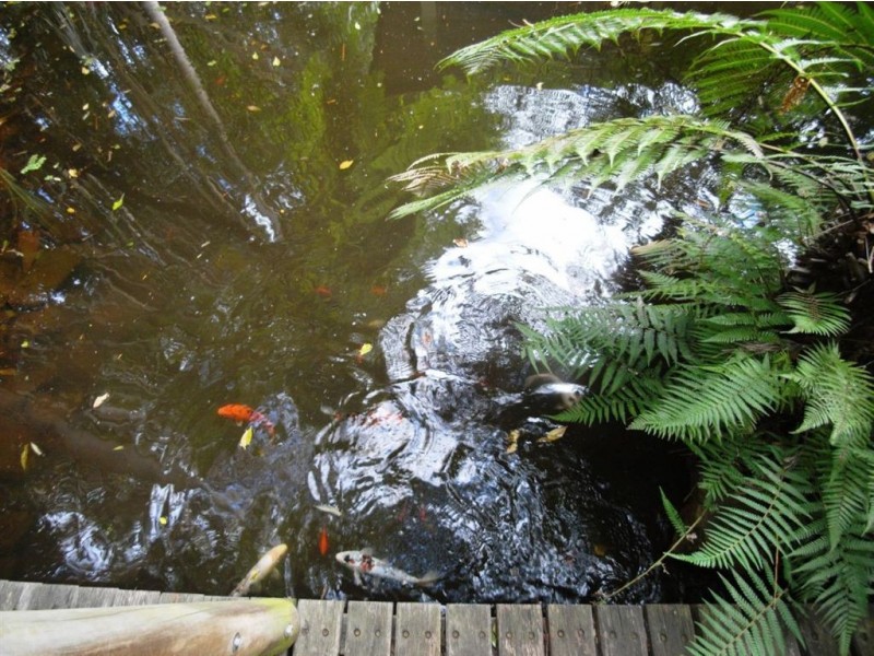 43/2129 Nelson Bay Road, Williamtown NSW 2318