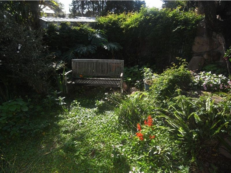 65 Barton Street, Mayfield NSW 2304