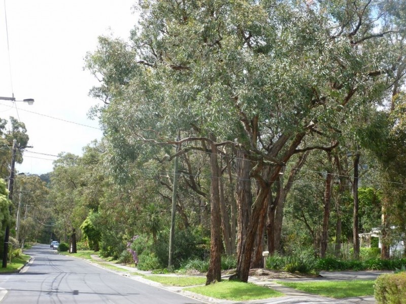 13/12 St Elmo Avenue, Ferntree Gully VIC 3156