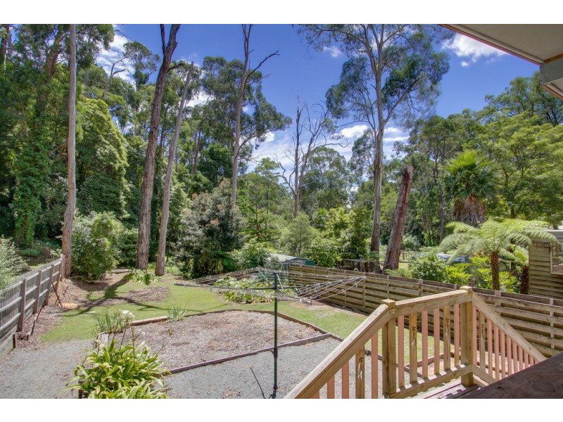 45 Claremont Avenue, The Basin VIC 3154