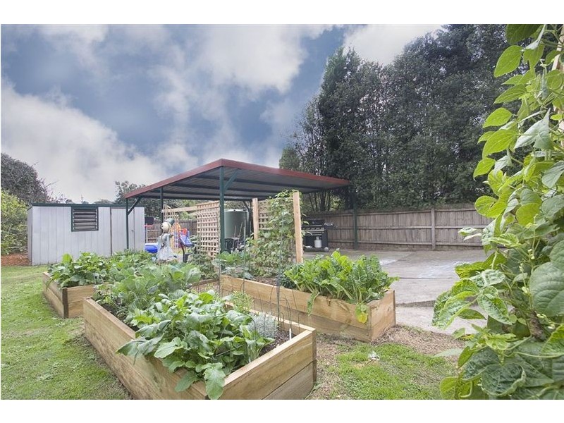 52 Sasses Avenue, Bayswater VIC 3153