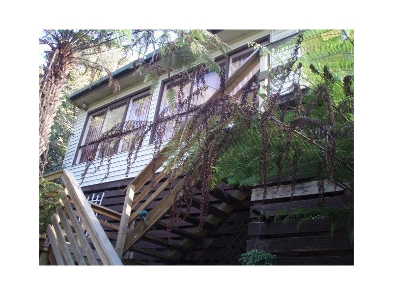 1440 Mountain Highway, The Basin VIC 3154