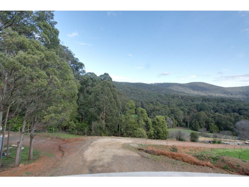 The Basin VIC 3154