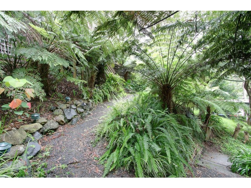 1440 Mountain Highway, The Basin VIC 3154