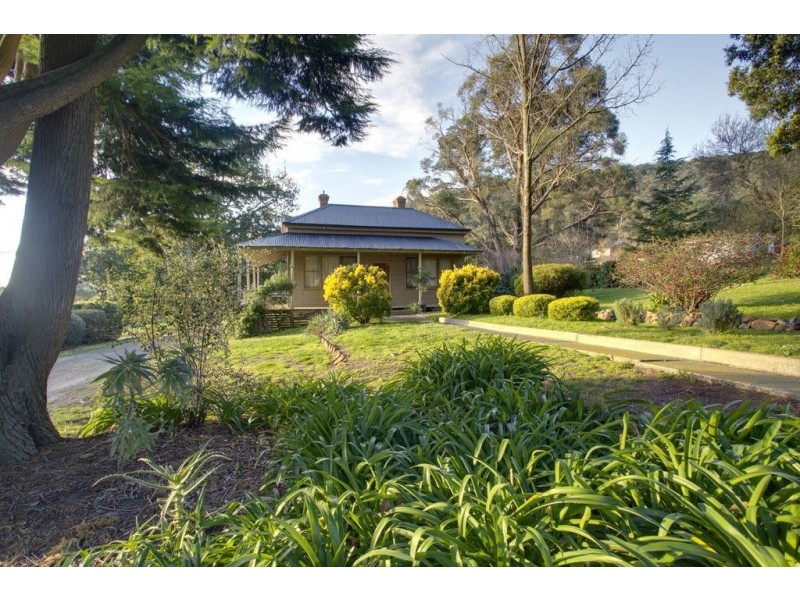 19 Olivebank Road, Ferntree Gully VIC 3156