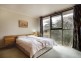 19 Wilhelma Avenue, Bayswater VIC 3153