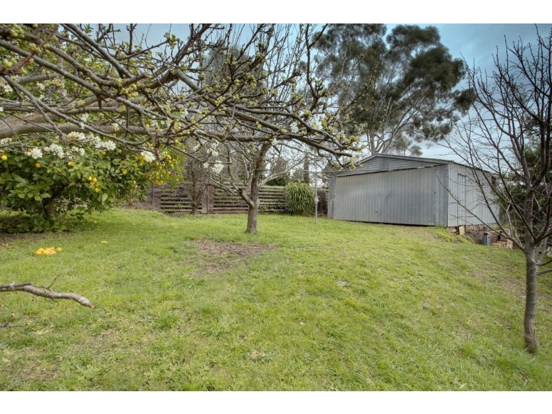 19 Wilhelma Avenue, Bayswater VIC 3153