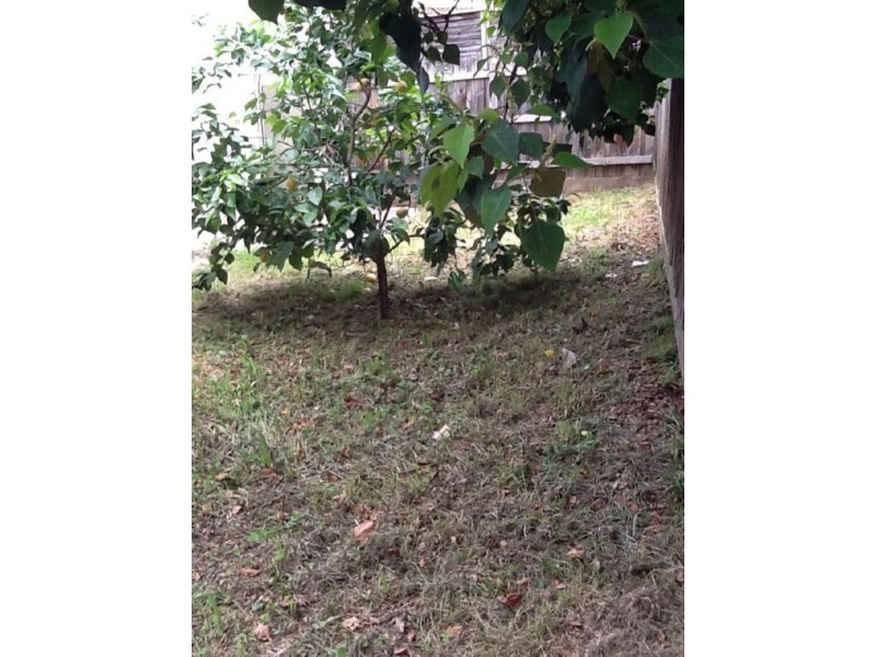 2/235 Boronia Road, Boronia VIC 3155