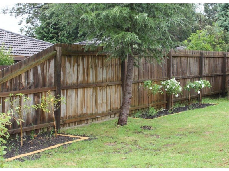 37 Veronica Street, Ferntree Gully VIC 3156