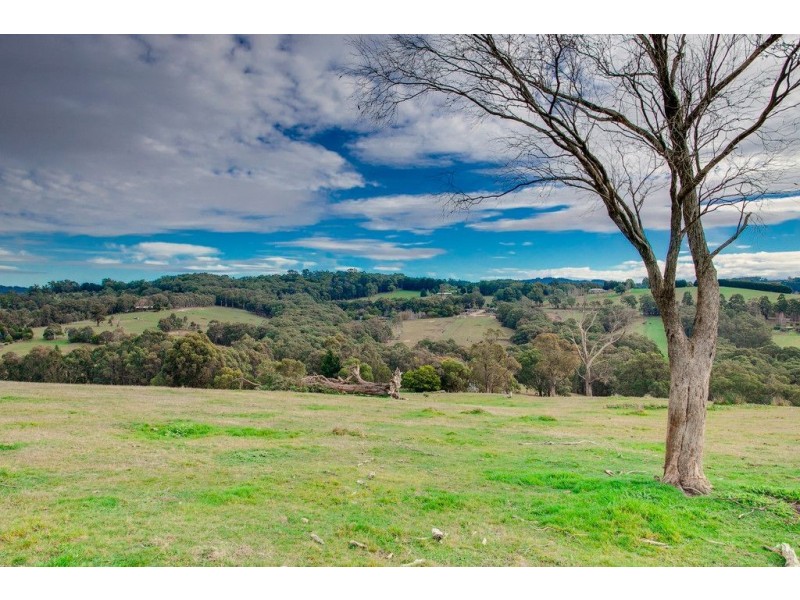 8 Eleanor Drive, Silvan VIC 3795