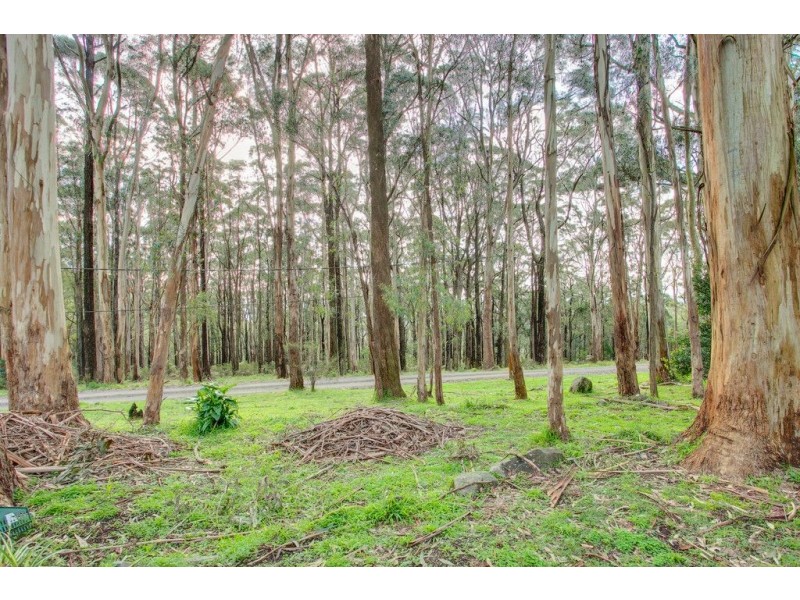 16 Mount Erin Road, Ferny Creek VIC 3786