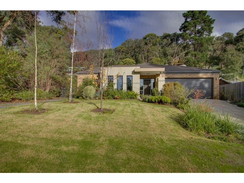 16 Mercia Avenue, The Basin VIC 3154