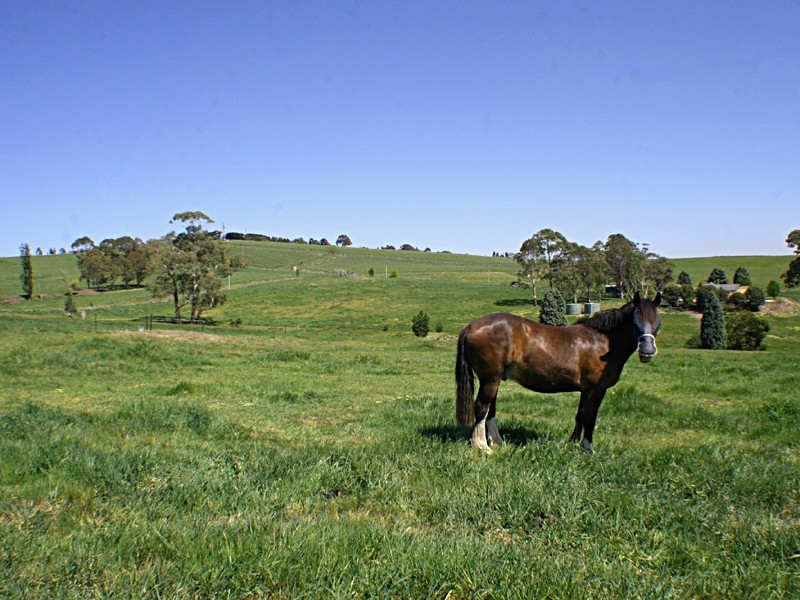 225 Garden Hill Court, Kangaroo Ground VIC 3097