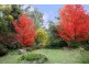 3 Jessicas Lane, Eltham VIC 3095