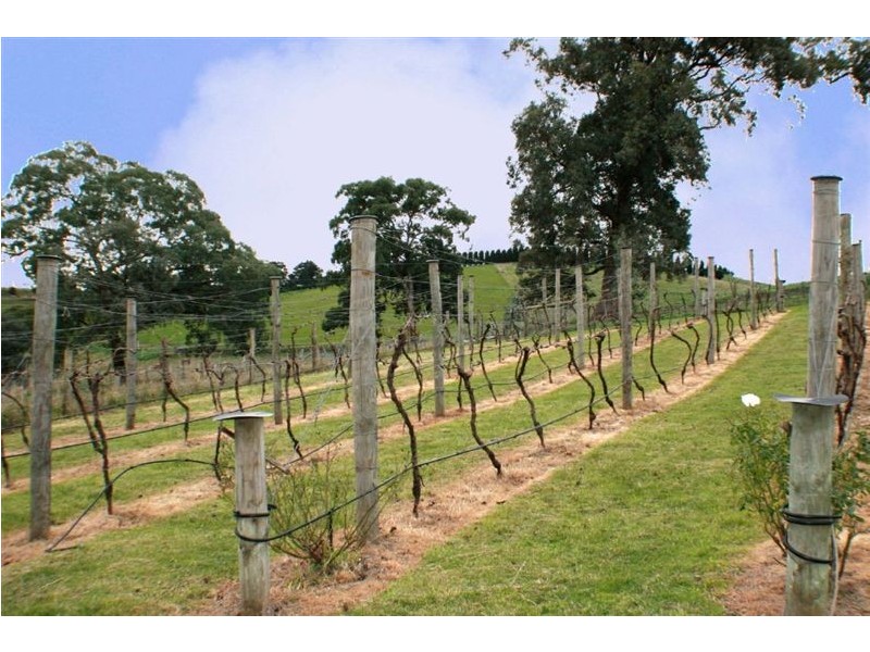 210 Wyuna Road, Kangaroo Ground VIC 3097