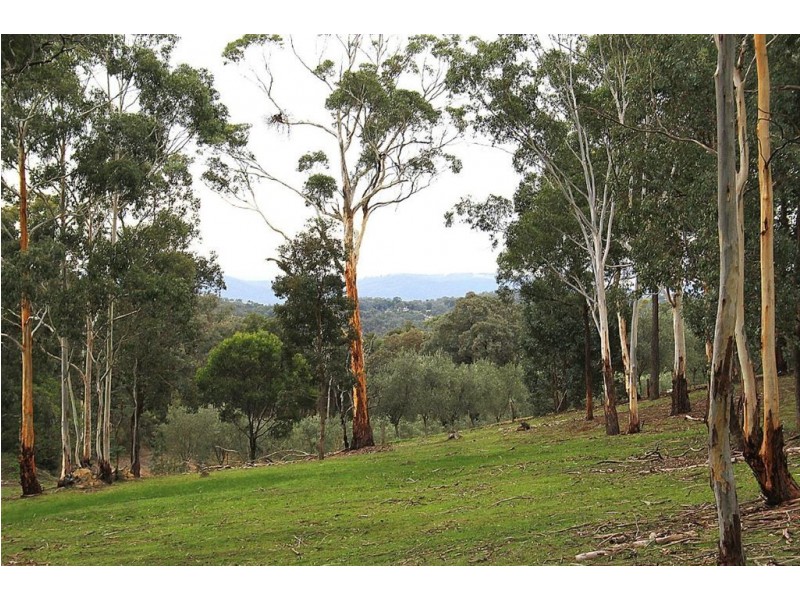 Hurstbridge VIC 3099