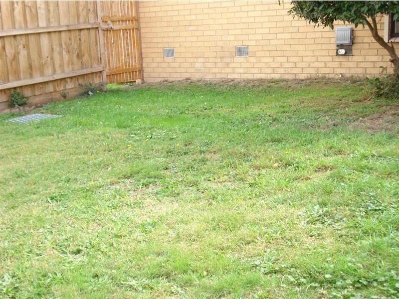 17 Cormorant Close, Endeavour Hills VIC 3802