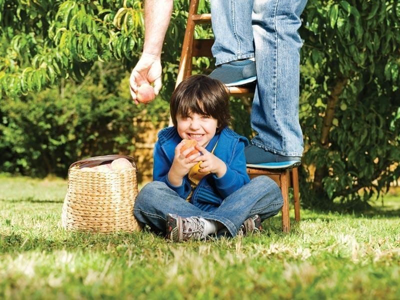 Lot/311 Willum Way, Dandenong VIC 3175