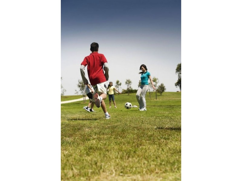 Lot/313 Willum Way, Dandenong VIC 3175