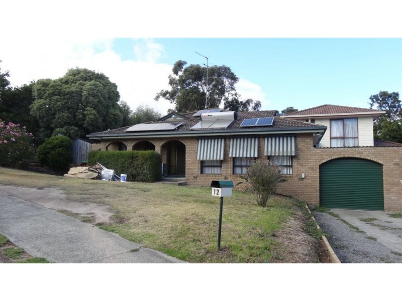12 Aquila Crescent, Endeavour Hills VIC 3802