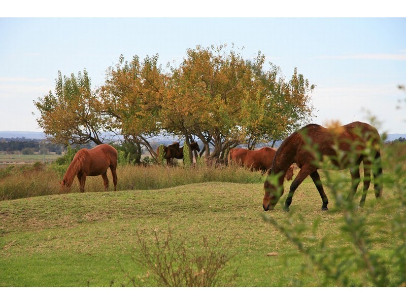 72 Dight St, Richmond NSW 2753