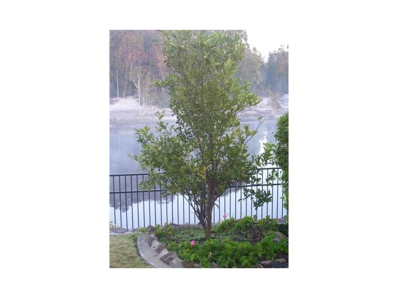 13 Andrew Avenue, Pottsville NSW 2489