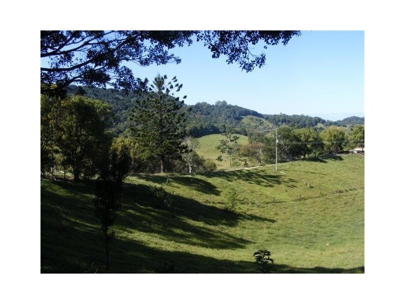 Clothiers Creek NSW 2484