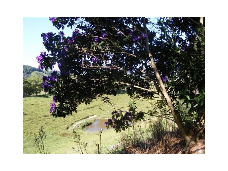 Clothiers Creek NSW 2484