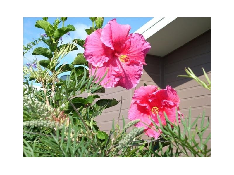 22/42 Ballina Steet, Pottsville NSW 2489