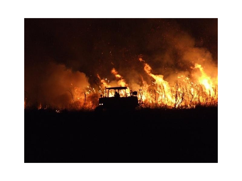 5824 Tweed Valley Way, Mooball NSW 2483