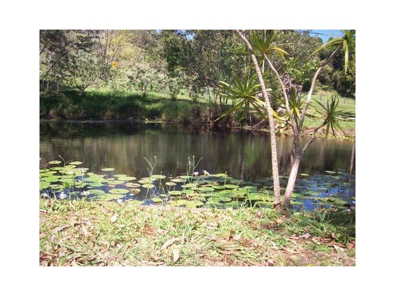 501 Round Mountain Road, Round Mountain NSW 2484