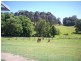 501 Round Mountain Road, Round Mountain NSW 2484