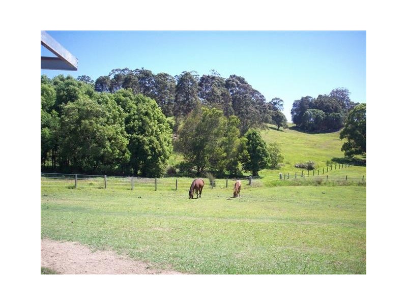 501 Round Mountain Road, Round Mountain NSW 2484
