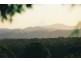 LOT 320 Hovea, Pottsville NSW 2489