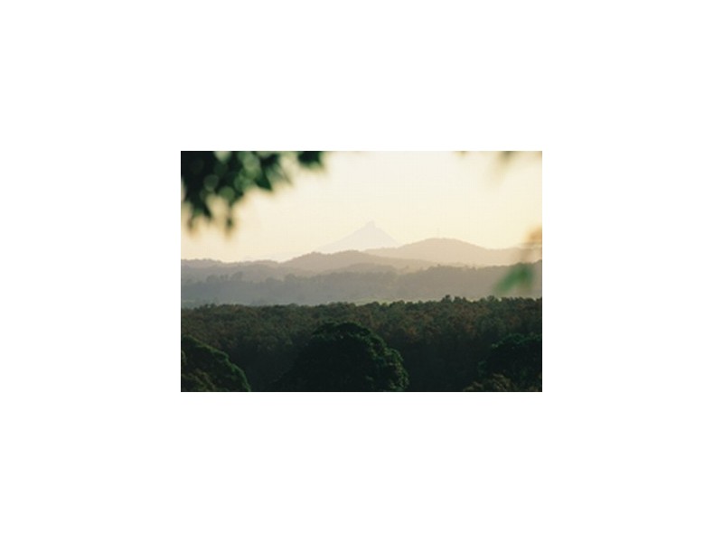 LOT 320 Hovea, Pottsville NSW 2489