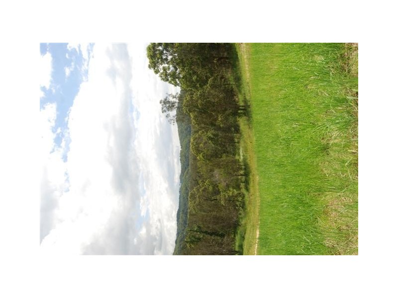 616 Lomandra Drive, Pottsville NSW 2489