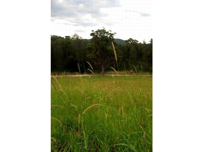 611 Lomandra Drive, Pottsville NSW 2489