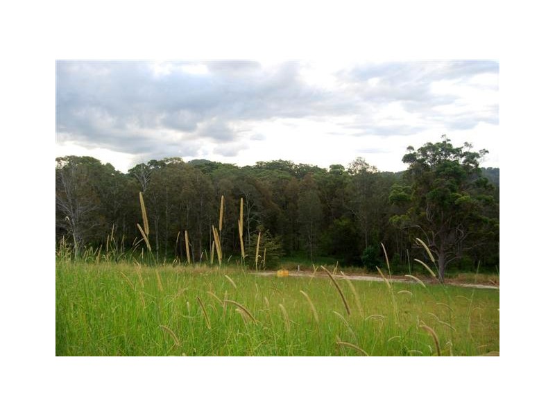 611 Lomandra Drive, Pottsville NSW 2489