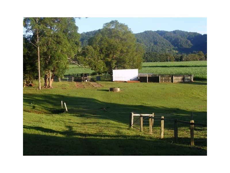 5824 Tweed Valley Way, Mooball NSW 2483